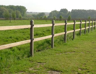 Wallaba fence